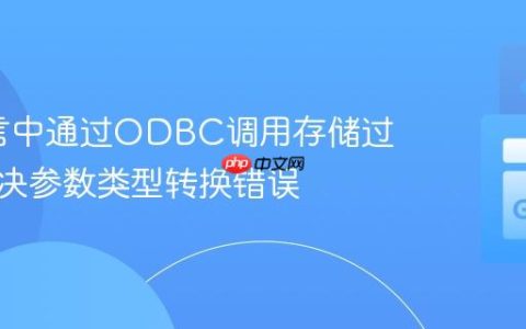 Go语言中通过ODBC调用存储过程：解决参数类型转换错误