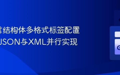 Go语言结构体多格式标签配置指南：JSON与XML并行实现