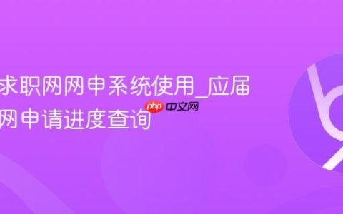 应届生求职网网申系统使用_应届生求职网申请进度查询