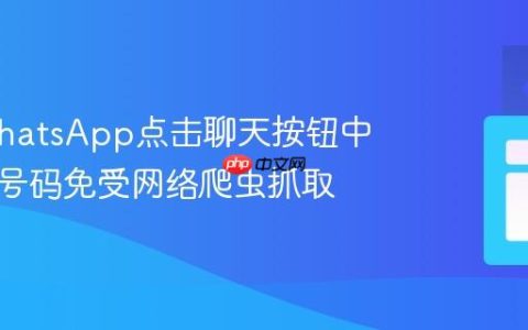 保护WhatsApp点击聊天按钮中的电话号码免受网络爬虫抓取