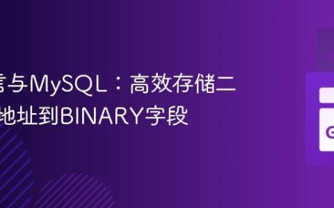 Go语言与MySQL：高效存储二进制IP地址到BINARY字段
