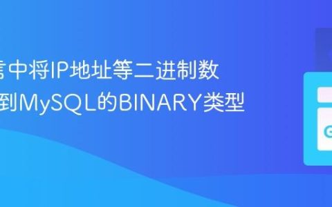 Go语言中将IP地址等二进制数据存储到MySQL的BINARY类型字段