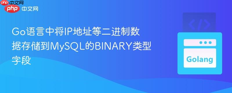 go语言中将ip地址等二进制数据存储到mysql的binary类型字段