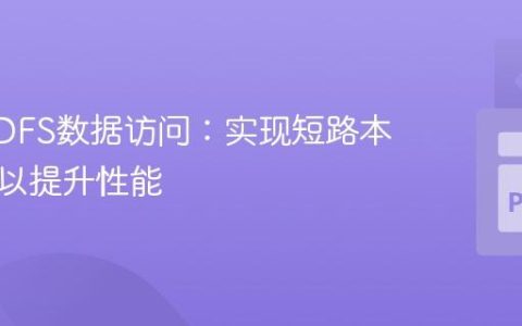 优化HDFS数据访问：实现短路本地读取以提升性能