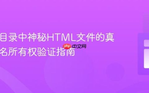 网站根目录中神秘HTML文件的真相：域名所有权验证指南