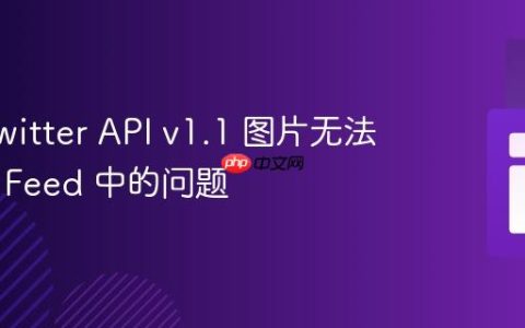 解决 Twitter API v1.1 图片无法显示在 Feed 中的问题