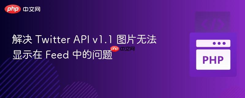 解决 twitter api v1.1 图片无法显示在 feed 中的问题