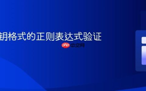 SSH公钥格式的正则表达式验证指南