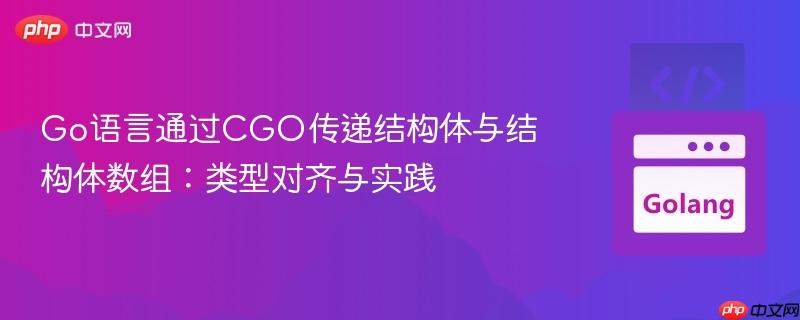 Go语言通过CGO传递结构体与结构体数组：类型对齐与实践