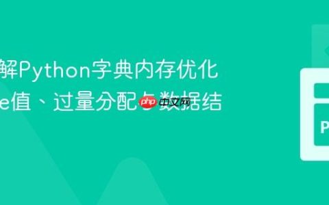 深入理解Python字典内存优化：None值、过量分配与数据结构选择