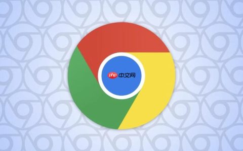 谷歌浏览器打开PDF文件乱码怎么解决_Chrome PDF显示异常处理方法