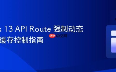 Next.js 13 API Route 强制动态渲染与缓存控制指南