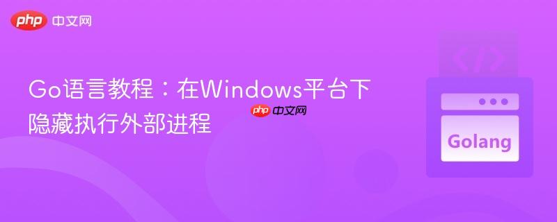 Go语言教程:在Windows平台下隐藏执行外部进程