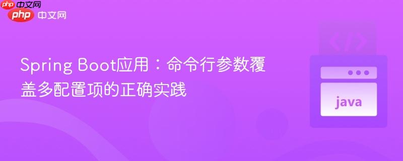 Spring Boot应用:命令行参数覆盖多配置项的正确实践