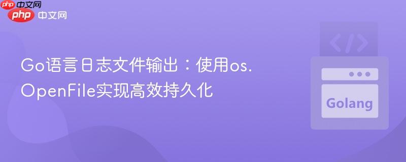 go语言日志文件输出:使用os.openfile实现高效持久化
