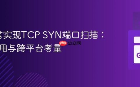 Go语言实现TCP SYN端口扫描：系统调用与跨平台考量