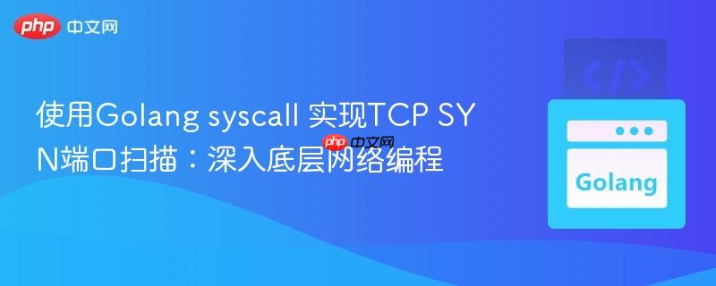 使用Golang syscall 实现TCP SYN端口扫描:深入底层网络编程