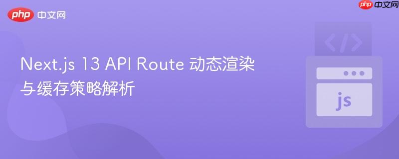 Next.js 13 API Route 动态渲染与缓存策略解析