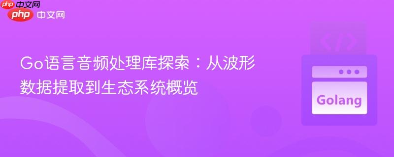 Go语言音频处理库探索:从波形数据提取到生态系统概览
