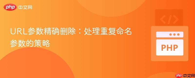 URL参数精确删除:处理重复命名参数的策略