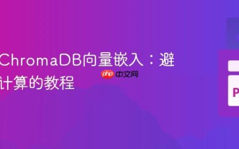 持久化ChromaDB向量嵌入：避免重复计算的教程