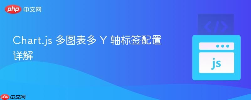 Chart.js 多图表多 Y 轴标签配置详解