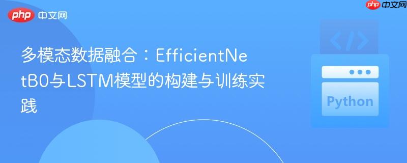 多模态数据融合:EfficientNetB0与LSTM模型的构建与训练实践