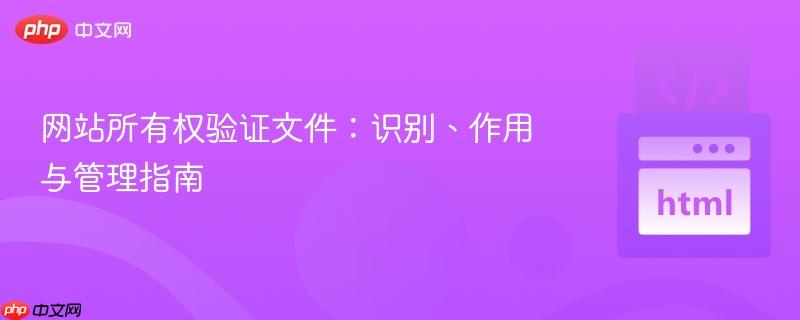网站所有权验证文件:识别、作用与管理指南
