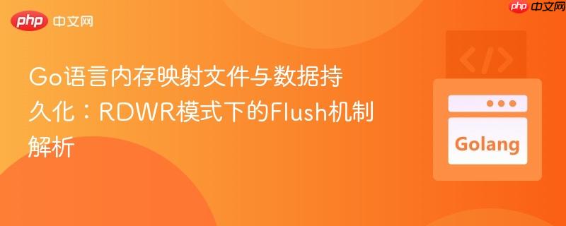 Go语言内存映射文件与数据持久化:RDWR模式下的Flush机制解析