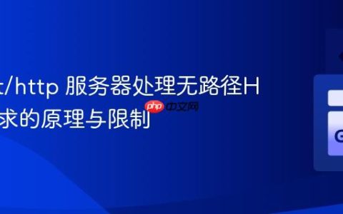 Go net/http 服务器处理无路径HTTP请求的原理与限制