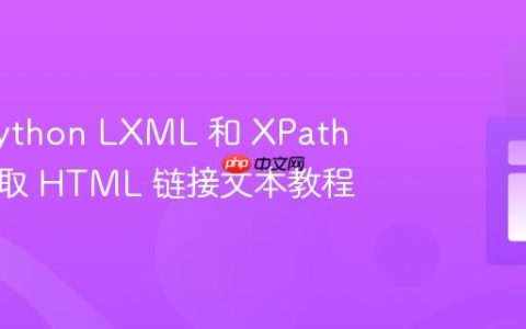 使用 Python LXML 和 XPath 稳健提取 HTML 链接文本教程