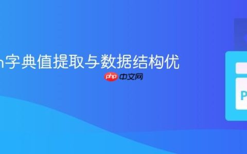 Python字典值提取与数据结构优化指南