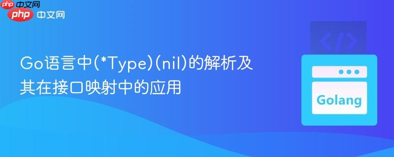 go语言中(*type)(nil)的解析及其在接口映射中的应用