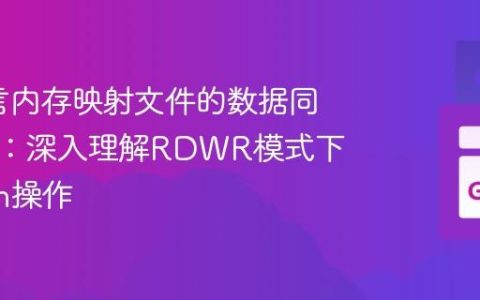 Go语言内存映射文件的数据同步机制：深入理解RDWR模式下的Flush操作