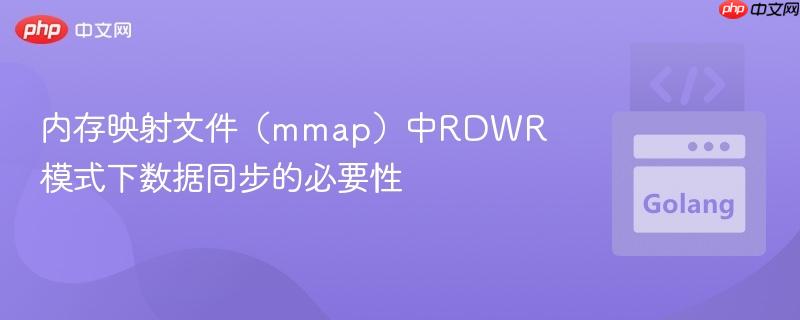 内存映射文件(mmap)中RDWR模式下数据同步的必要性
