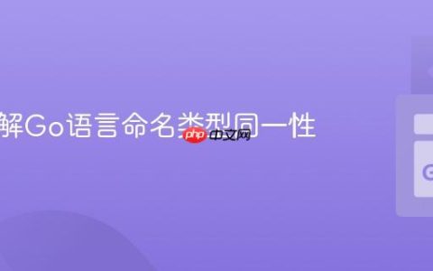 深入理解Go语言命名类型同一性