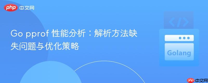 Go pprof 性能分析:解析方法缺失问题与优化策略