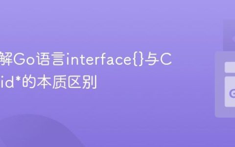 深入理解Go语言interface{}与C语言void*的本质区别