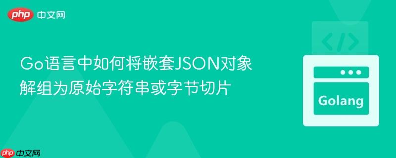 Go语言中如何将嵌套JSON对象解组为原始字符串或字节切片