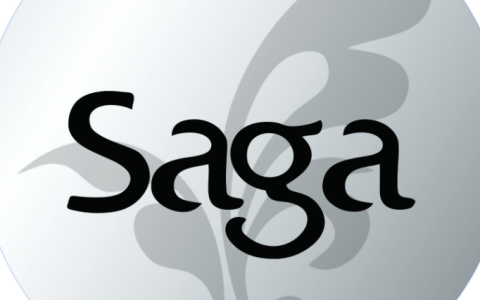 Saga (SAGA) 币是什么？模块化游戏公链的空投与潜力解读