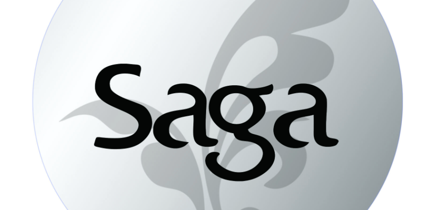 Saga (SAGA) 币是什么?模块化游戏公链的空投与潜力解读 - 创想鸟