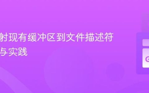 内存映射现有缓冲区到文件描述符的挑战与实践
