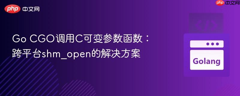 Go CGO调用C可变参数函数:跨平台shm_open的解决方案