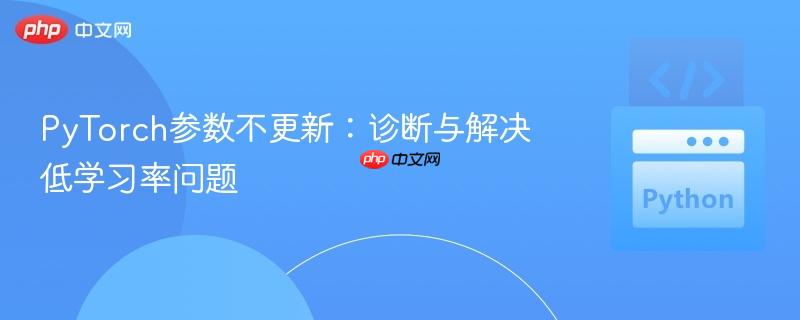 PyTorch参数不更新:诊断与解决低学习率问题