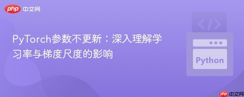 PyTorch参数不更新:深入理解学习率与梯度尺度的影响