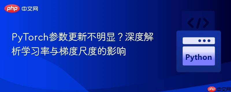 pytorch参数更新不明显?深度解析学习率与梯度尺度的影响