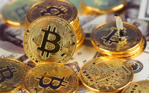 从零开始，如何搭建自己的加密货币投资组合？