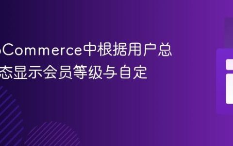 在WooCommerce中根据用户总消费动态显示会员等级与自定义文本