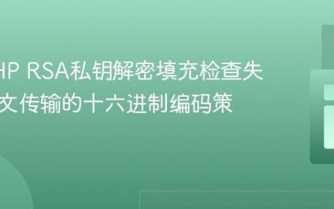解决PHP RSA私钥解密填充检查失败：密文传输的十六进制编码策略