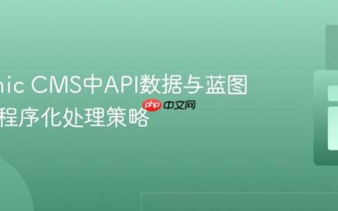 Statamic CMS中API数据与蓝图验证的程序化处理策略